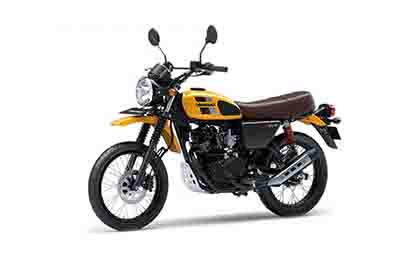 Kawasaki W175TR
